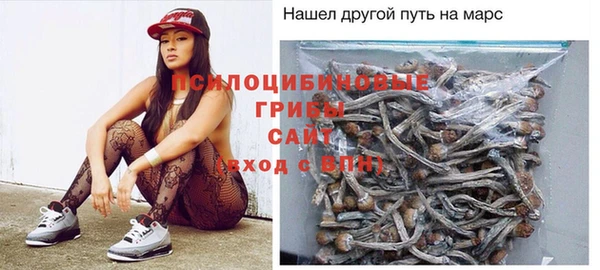 PSILOCYBIN Михайловка